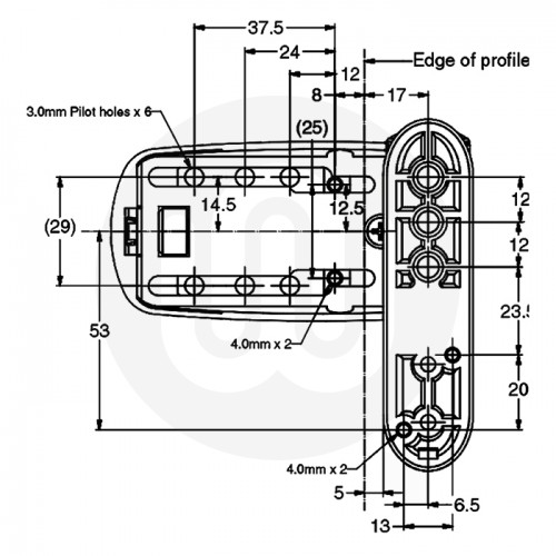 Avocet Flag Hinge Standard